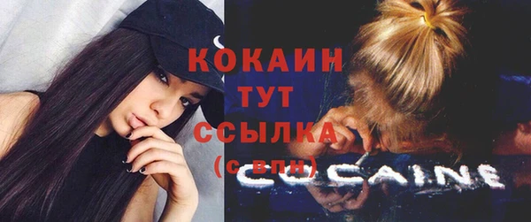 кокс Богородицк
