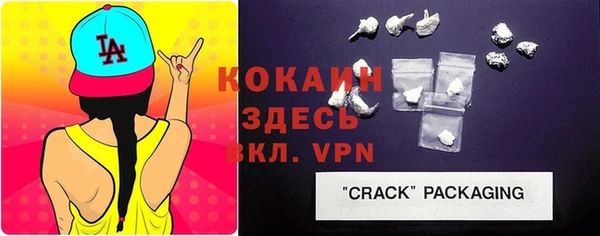 кокс Богородицк