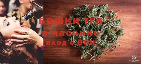 бошки Бородино