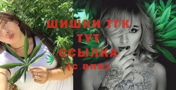 бошки Бородино