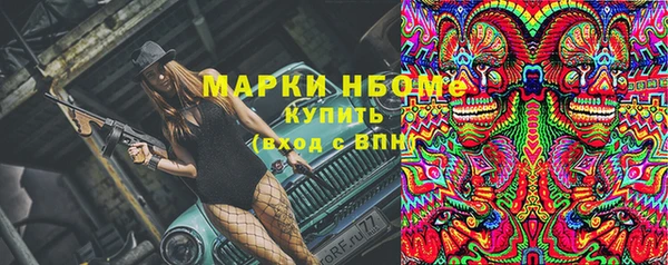 бошки Бородино