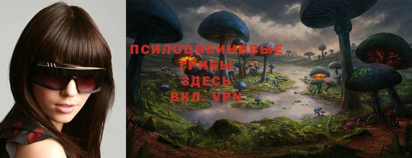 кокс Богородицк