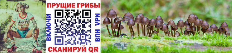 Псилоцибиновые грибы мухоморы  Киреевск 